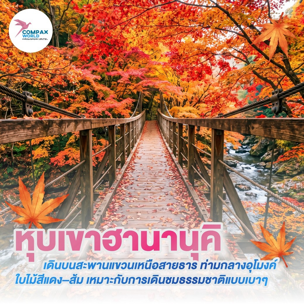 เที่ยวญี่ปุ่น ทัวร์ญี่ปุ่น ทัวร์ญี่ปุ่นพรีเมี่ยม โปรแกรมทัวร์ญี่ปุ่น